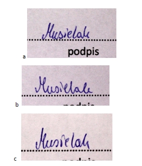 Fig. 5