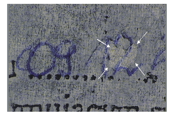 Fig7