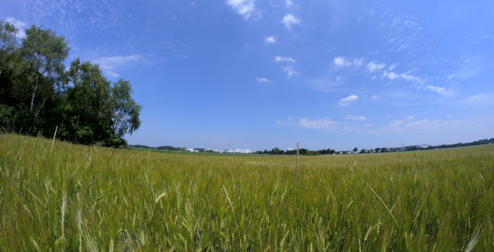 Green Marketing e lo sviluppo dei suoi consumer