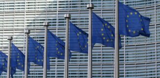 Il principio di sussidiarietà per la governance